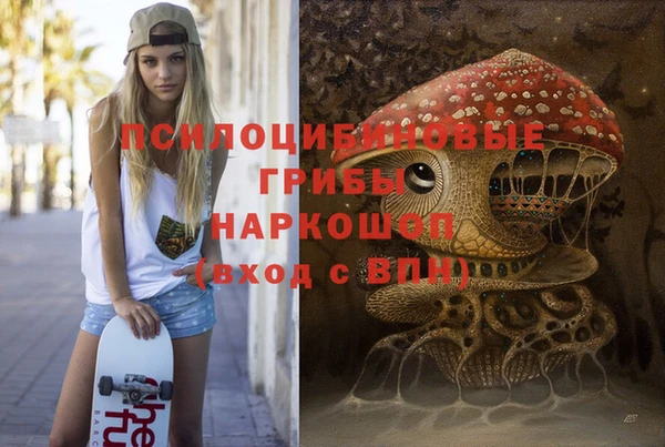 винт Баксан