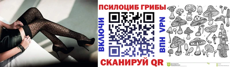 Псилоцибиновые грибы Magic Shrooms где найти Буйнакск